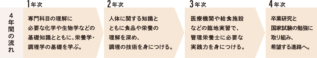 ４年間の流れ