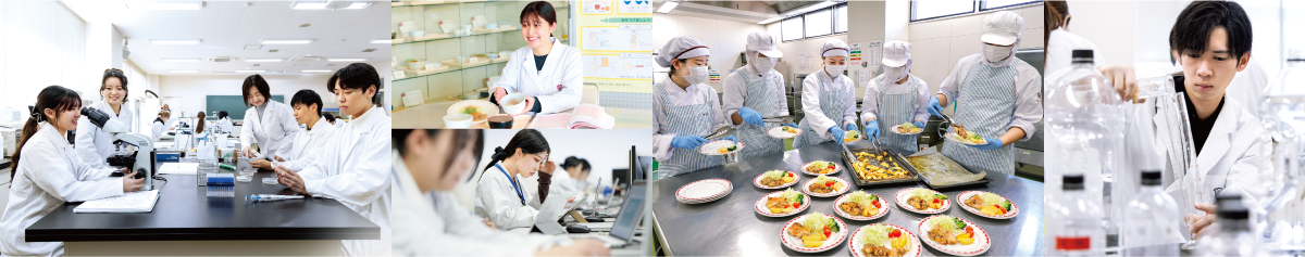 「好き」が加速する　4年間の学