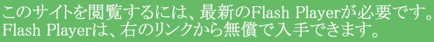 ̃TCg{邽߂ɂ̓o[WWȏ Flash Player KvłBFlash Player ͈ȉ̃N薳Ń_E[hł܂B